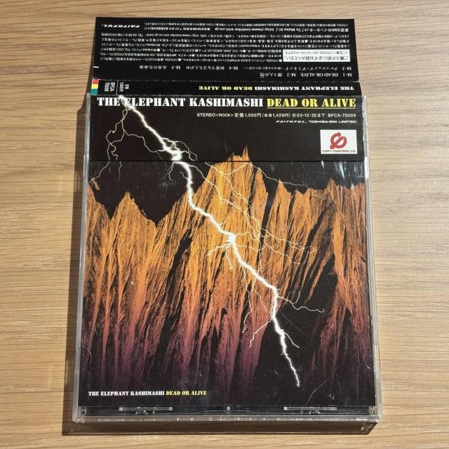 �y�G���t�@���g�J�V�}�V�zDead or Alive  �� CD/DVD/�r�f�I�� 