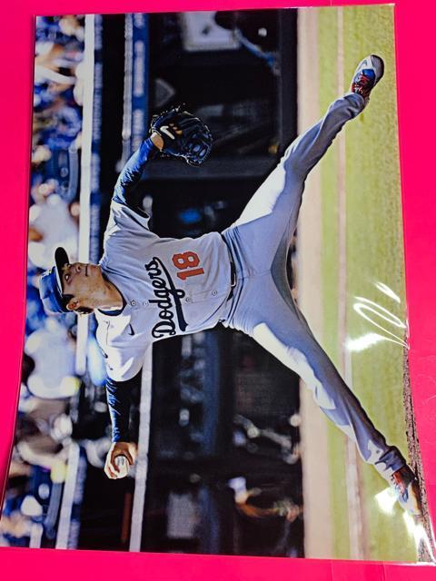 ���R�{ �R�L�i��܂��� �悵�̂ԁjA�S�T�C�Y�S���{���@�N���A�|�P�b�g���� �� �z�r�[�� 