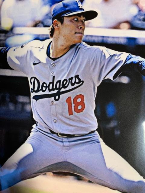 ���R�{ �R�L�i��܂��� �悵�̂ԁjA�S�T�C�Y�S���{���@�N���A�|�P�b�g���� �� �z�r�[�� 