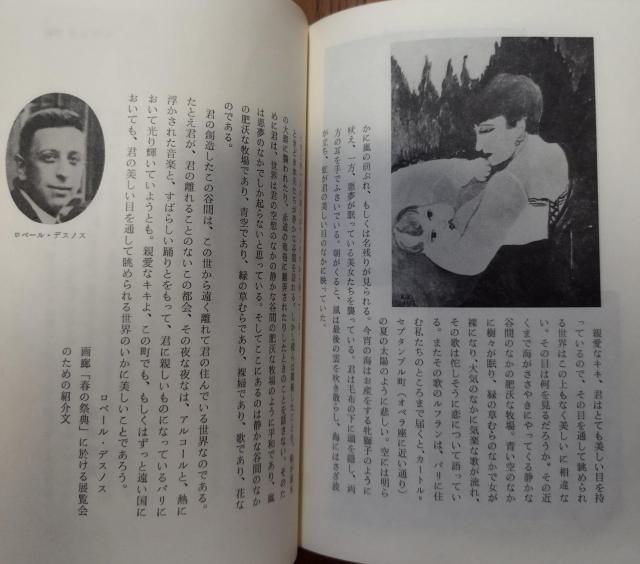 piX̃LL\GREhEpǑz@LL@͐D@ck  {/G 