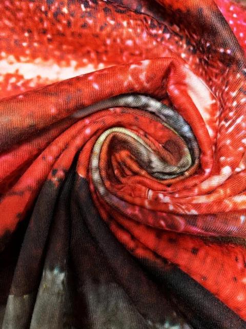 1590~GKgȒN[lbNTVcA􉽊w͗lAM[tBbg@tr`TCYri{TCYkj  t@bV 