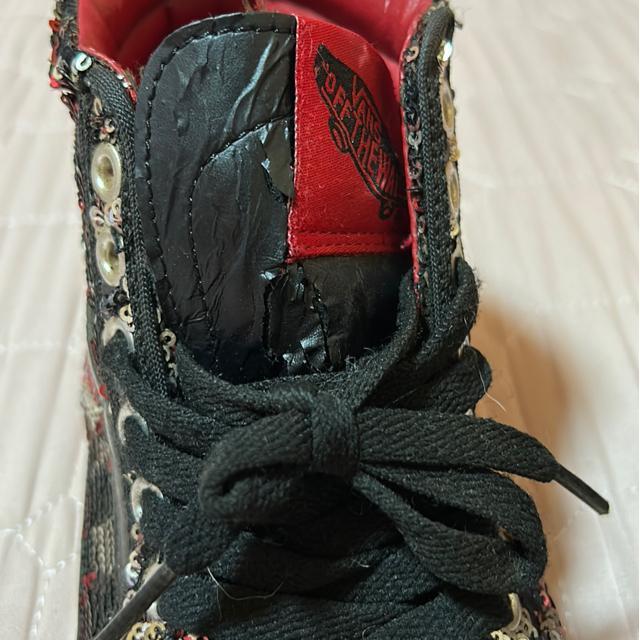 VANS  LLXpR[Xj[J[  24.0cm󂠂  uh 