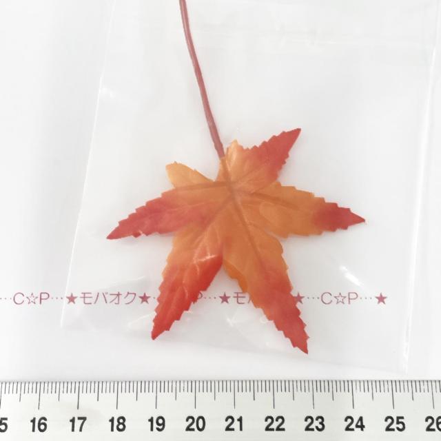 29*���~�W�̃��`�[�t�@17 