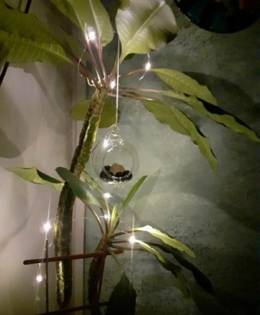 照明 飾り付け LEDライト イルミネーション 装飾 ジュエリーライト < インテリア/ライフ 照明 飾り付け LEDライト イルミネーション 装飾 ジュエリーライト < インテリア/ライフの