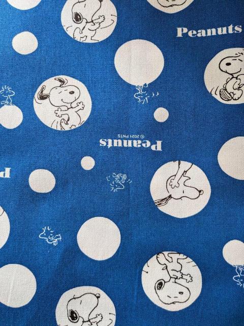 �X�k�[�s�[ �h�b�g �I�b�N�X���n ��108cm�~55cm  �� �y�b�g/��|/���|�� 