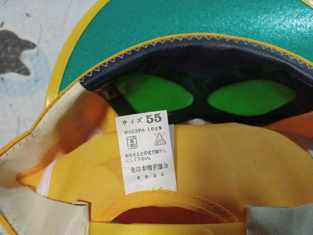 p[} Lbv 55cm@Vigp|GXe100  jt@bV 