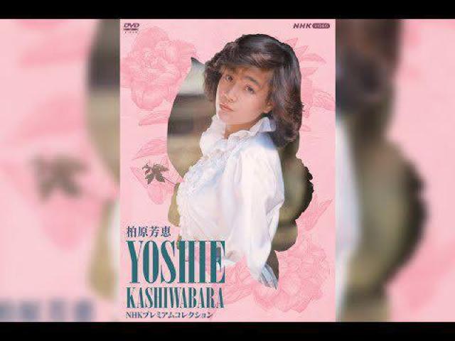 ky 柏原芳恵 NHK プレミアム コレクション 3枚組 < タレントグッズ ky 柏原芳恵 NHK プレミアム コレクション 3枚組 < タレントグッズの