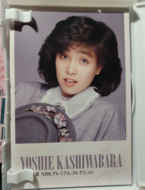 ky 柏原芳恵 NHK プレミアム コレクション 3枚組 < タレントグッズ ky 柏原芳恵 NHK プレミアム コレクション 3枚組 < タレントグッズの