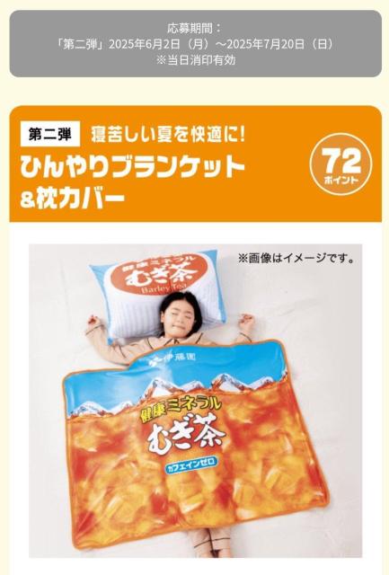 ~l~}[NE100ȏL܂EpKvE݁