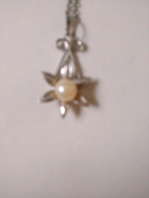 中古品 ネックレス チャームの大きさ約2p < 女性アクセサリー/時計  中古品 ネックレス チャームの大きさ約2p  < 女性アクセサリー/時計の