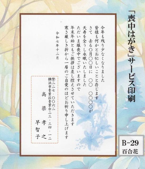 ur͂vT[rX^͂E20B-29^ol荞݁E^ʕύX^   CeA/Ct 