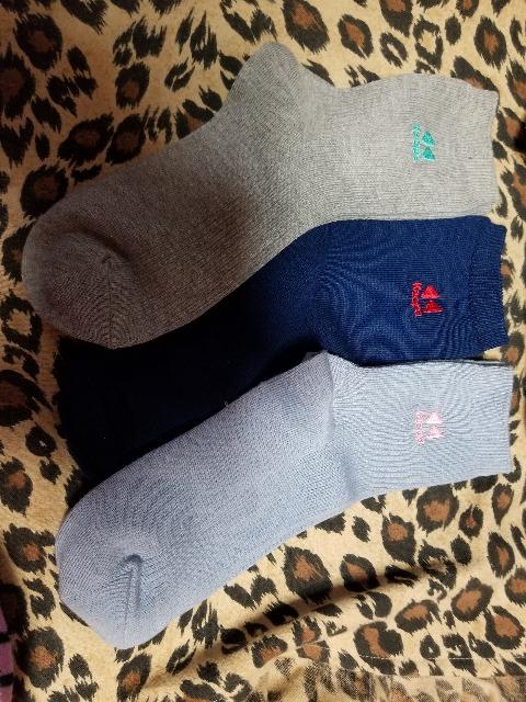 PCp kaepa fB[XC܂Ƃߔ 3B艿~  t@bV 