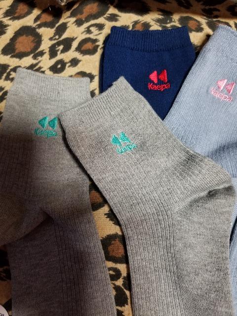 PCp kaepa fB[XC܂Ƃߔ 3B艿~  t@bV 