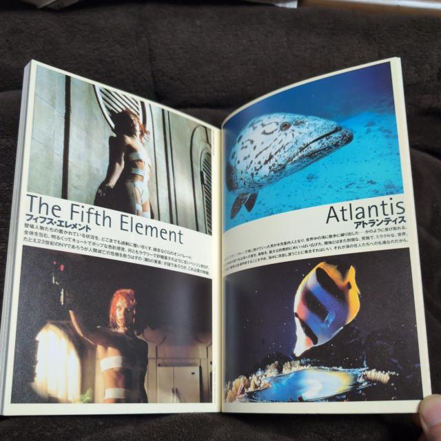 wtB[J[YEbNExb\xLl}{񑝊  {/G 