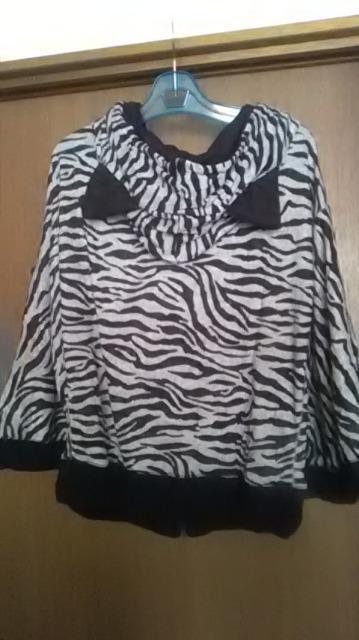 PR*Vi*t*[u*傫TCỸp[J[   t@bV 