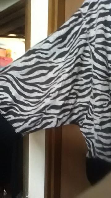 PR*Vi*t*[u*傫TCỸp[J[  t@bV 