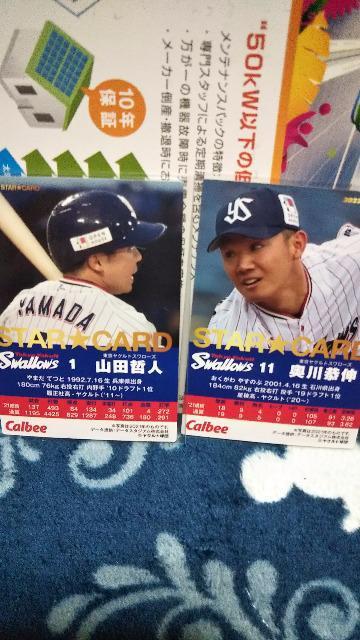 プロ野球チップスセット2022 < トレーディングカード  プロ野球チップスセット2022 < トレーディングカードの