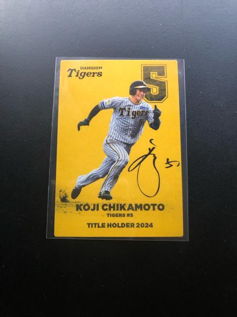 QOQTJr[싅Pe/T-POE_^CK[XEߖ{im^Cgz_[J|hn  g[fBOJ[h 