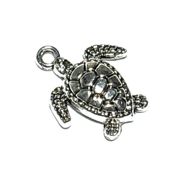 557  F̋T@1@߁@J@zk@p[c@ANZT[`[   ybg/|/| 