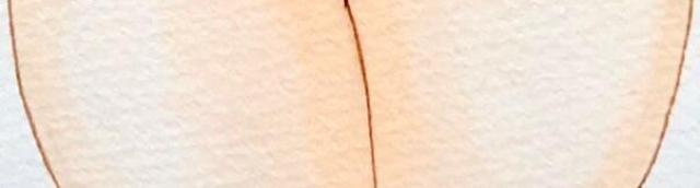 ����C���X�g/2��/���邩����/������/�p���`�� �� �A�j��/�R�~�b�N/�L�����N�^�[�� 