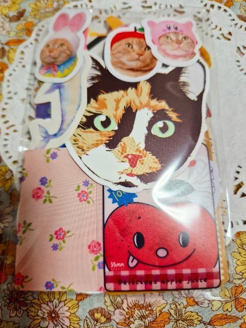 �����������t���[�N�V�[��100����30  �� �C���e���A/���C�t�� 