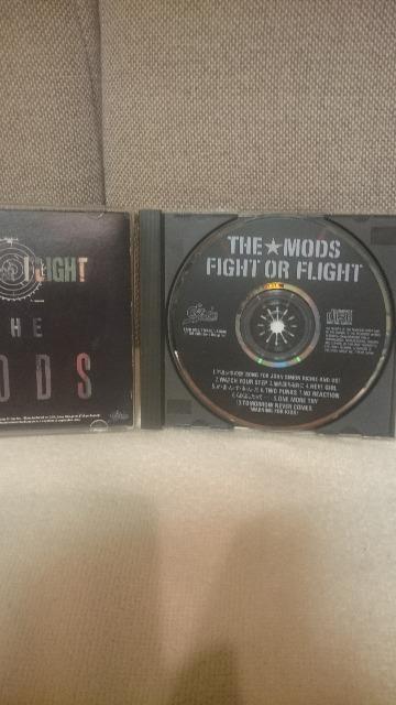  CDAo THEDMODS  FIGHT OR FLIGHT ̎J[hȂ  ^gObY 