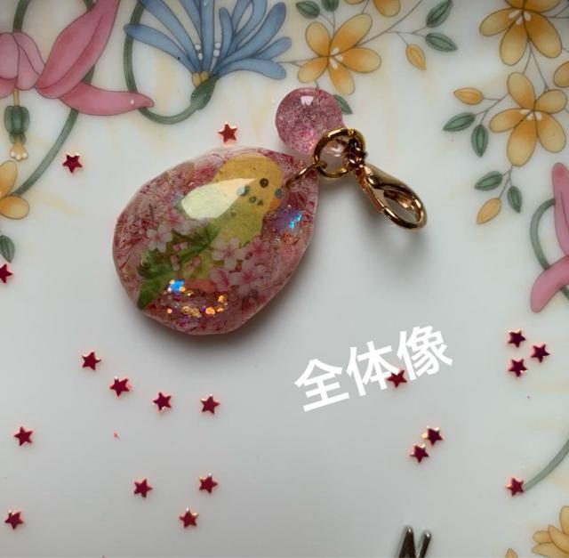 セキセイインコ 桜チャーム B  送料無料 < 女性ファッション  セキセイインコ 桜チャーム B  送料無料 < 女性ファッションの