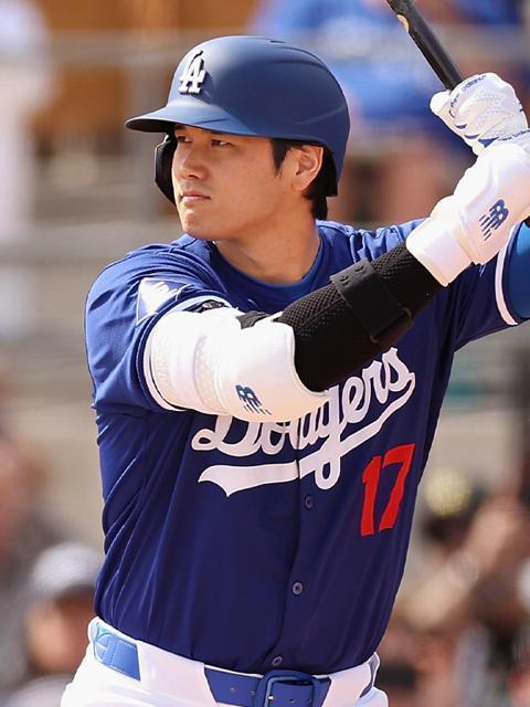 【送料無料】野球 大谷翔平厳選写真フォトL判10枚セット Q < タレントグッズ  【送料無料】野球 大谷翔平厳選写真フォトL判10枚セット Q < タレントグッズの