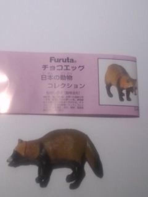 ◆タヌキ(狸)チョコエッグ◆ 日本の動物コレクション/フルタ/海洋堂 < ホビー  ◆タヌキ(狸)チョコエッグ◆ 日本の動物コレクション/フルタ/海洋堂  < ホビーの
