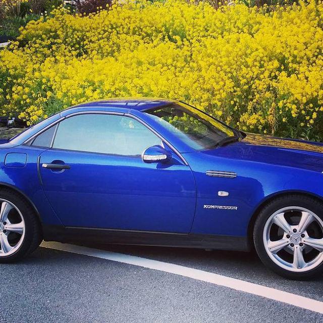 ベンツ 取り付け例あり 汎用ダミーダクト type49 < 自動車/バイク ベンツ 取り付け例あり 汎用ダミーダクト type49 < 自動車/バイク