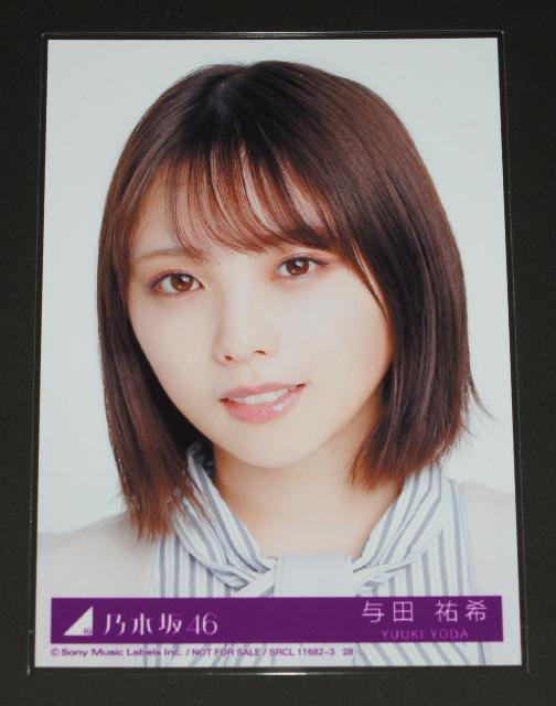 T؍46@l͖lDɂȂ@ʐ^P@^cS   ^gObY 