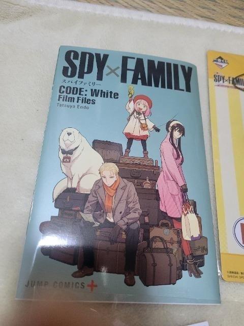 XpCt@~[@ғT Gt[NV[100Zbg@ʃobW  Aj/R~bN/LN^[ 