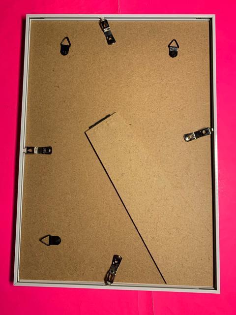 ����D�ɏ���Ă���ė��鎵���_�@A�S�T�C�Y�t�H�g�t���[�����{���N�̗ǂ��ߋT�{����@�v���[���g�ɂ��ƂĂ���΂�܂��B �� �z�r�[�� 