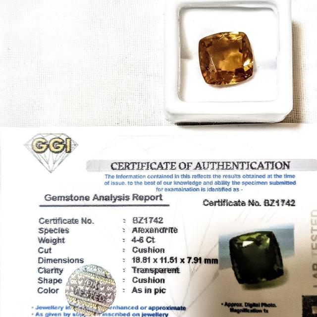COA VigpANThCg[X(4.6ct)