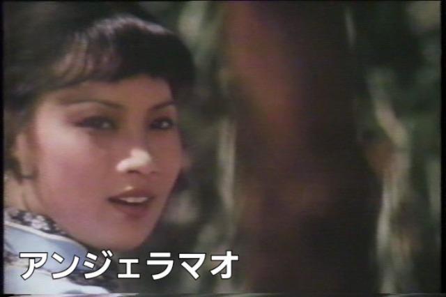 AKSVY{d򗳌{уuU[X=3Zbg  CD/DVD/rfI 