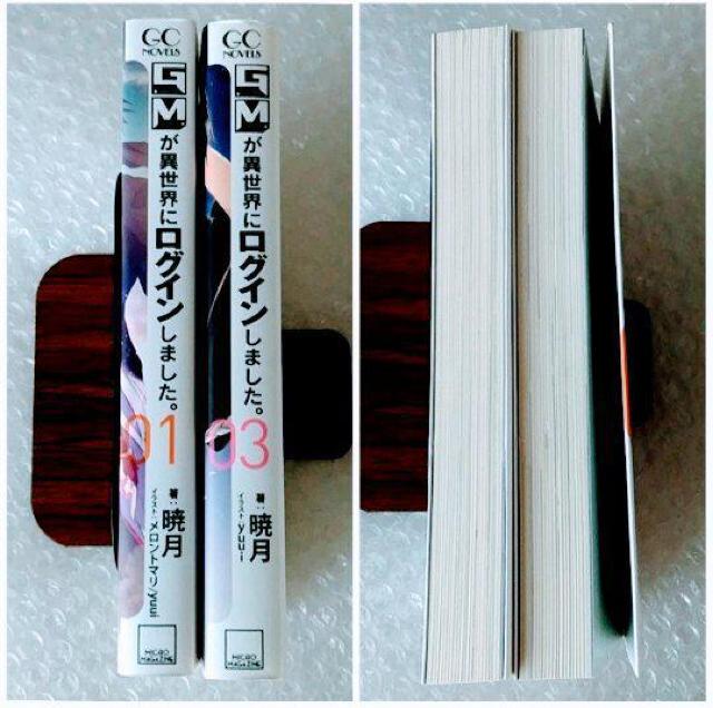 【初版】単行本2冊「GMが異世界にログインしました。 01・03」 < 本/雑誌  【初版】単行本2冊「GMが異世界にログインしました。 01・03」 < 本/雑誌の