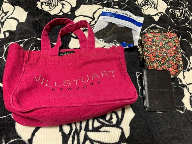 JILL STUART New York キャンバストートBag ポーチ エニスb ポーチ 送料無料 < 女性ファッション  JILL STUART New York キャンバストートBag ポーチ エニスb ポーチ 送料無料 < 女性ファッションの