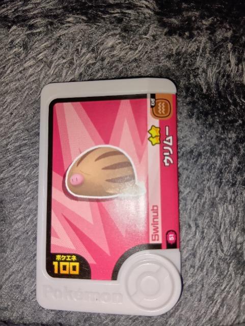 ポケモンフレンダ*ウリムー*未使用 < トレーディングカード  ポケモンフレンダ*ウリムー*未使用  < トレーディングカードの