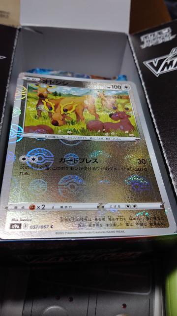 ポケモンカードゲーム・バトルリージョン・アンコモン・コモン・拡張カード・コンプリート < トレーディングカード  ポケモンカードゲーム・バトルリージョン・アンコモン・コモン・拡張カード・コンプリート  < トレーディングカードの