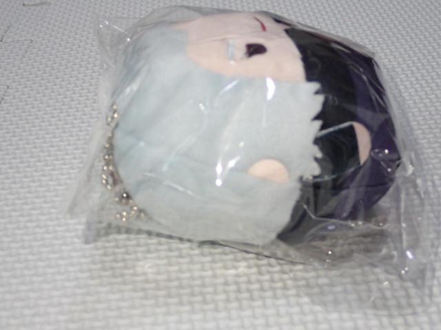 p ӂR6  10cm 2 ʁEʐ  Aj/R~bN/LN^[ 