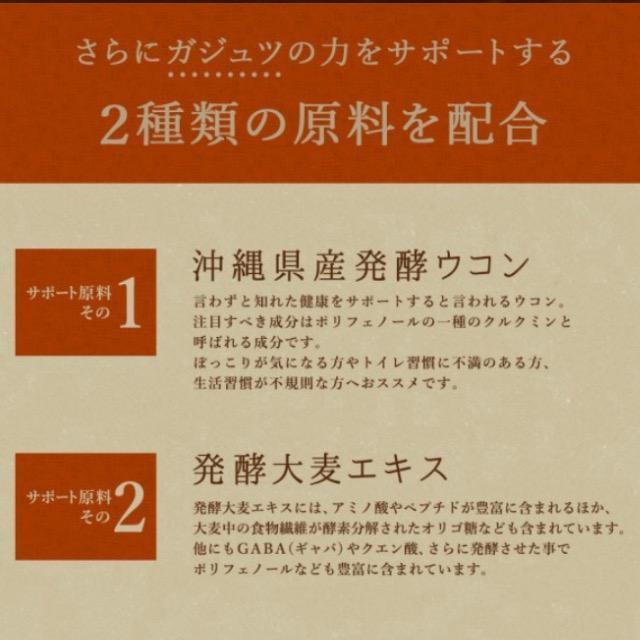 ガジュツ 紫ウコンサプリメント約3ヵ月分 美容 健康 ダイエット お酒 < ヘルス/ビューティー  ガジュツ 紫ウコンサプリメント約3ヵ月分 美容 健康 ダイエット お酒 < ヘルス/ビューティーの