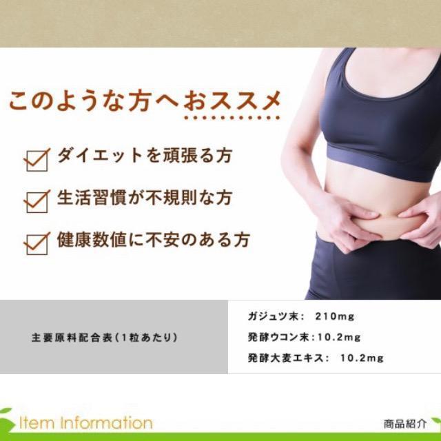 ガジュツ 紫ウコンサプリメント約3ヵ月分 美容 健康 ダイエット お酒 < ヘルス/ビューティー  ガジュツ 紫ウコンサプリメント約3ヵ月分 美容 健康 ダイエット お酒 < ヘルス/ビューティーの