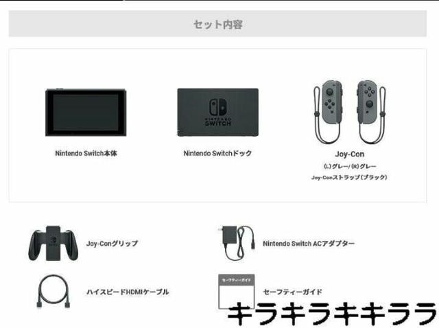 �sNew�t�C�V��/�j���e���h�[/Nintendo��Switch�yJoy-Con(L)/(R)�O���[�z �� �Q�[���{��/�\�t�g�� 