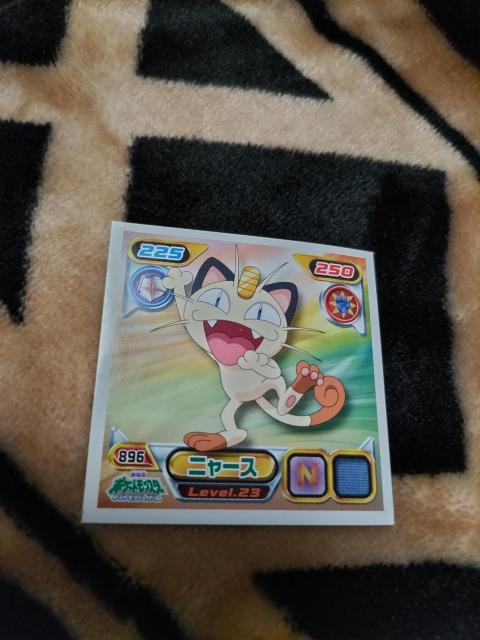 |PV[2009sJ`EvWFNgj[X 