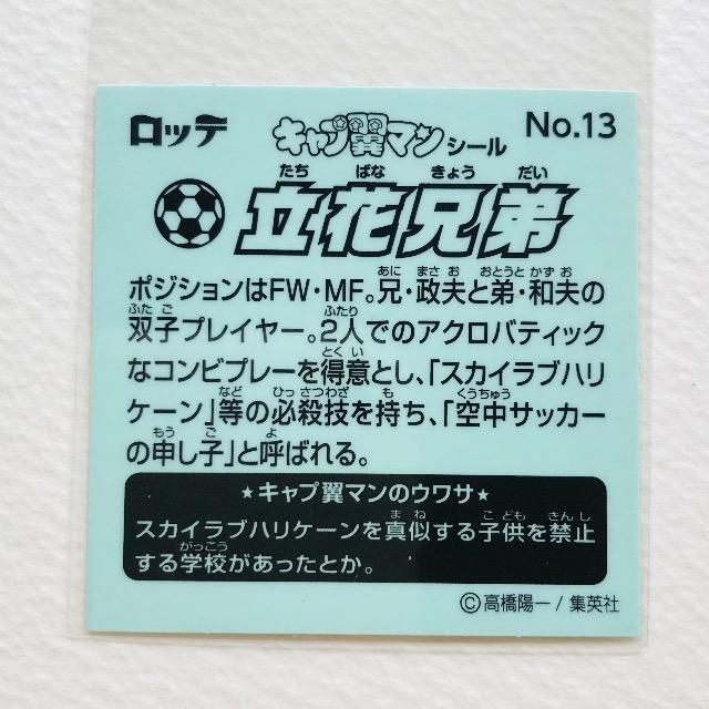 Lv}V[@No.13 ԌZ  zr[ 