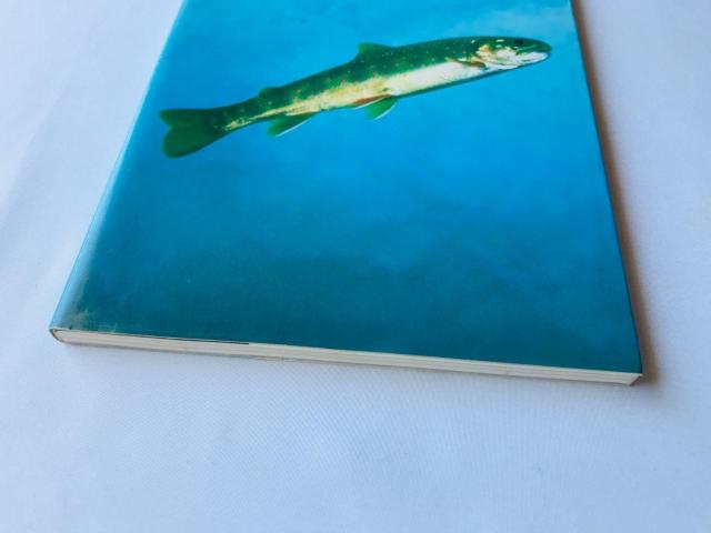 ウキウキ釣り天国 川物語 公式ネイチャーガイド 攻略本 初版 Official Nature Guide Strategy PS < ゲーム本体/ソフト ウキウキ釣り天国 川物語 公式ネイチャーガイド 攻略本 初版 Official Nature Guide Strategy PS < ゲーム本体/ソフトの