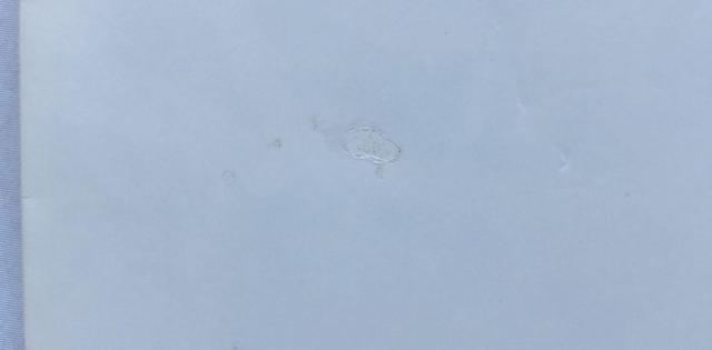 ウキウキ釣り天国 川物語 公式ネイチャーガイド 攻略本 初版 Official Nature Guide Strategy PS < ゲーム本体/ソフト ウキウキ釣り天国 川物語 公式ネイチャーガイド 攻略本 初版 Official Nature Guide Strategy PS < ゲーム本体/ソフトの