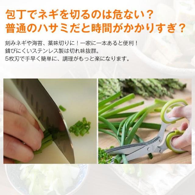 @\ ݂؂ 5n nT~ ͂ XeX Kтɂ lM ݊C Z Jbg Vb_[ ؂ ؂  CeA/Ct 