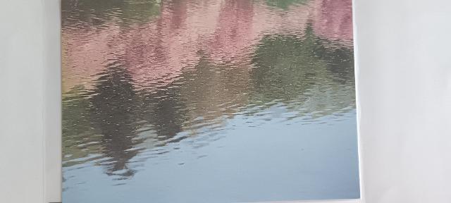 ポストカード 桜 B(新品) < インテリア/ライフ ポストカード 桜 B(新品) < インテリア/ライフの