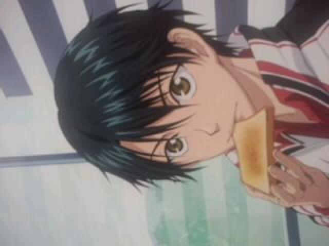 VejX̉ql zO쁕] |X^[  CD/DVD/rfI 